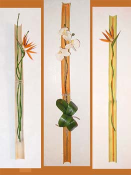 Missing image: Tropical bamboo ensemble